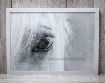 Companion horse POSTER - print image without frame, quote