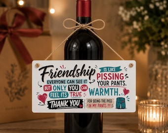 Funny Friendship Hanging Sign – Friend Quote Gift