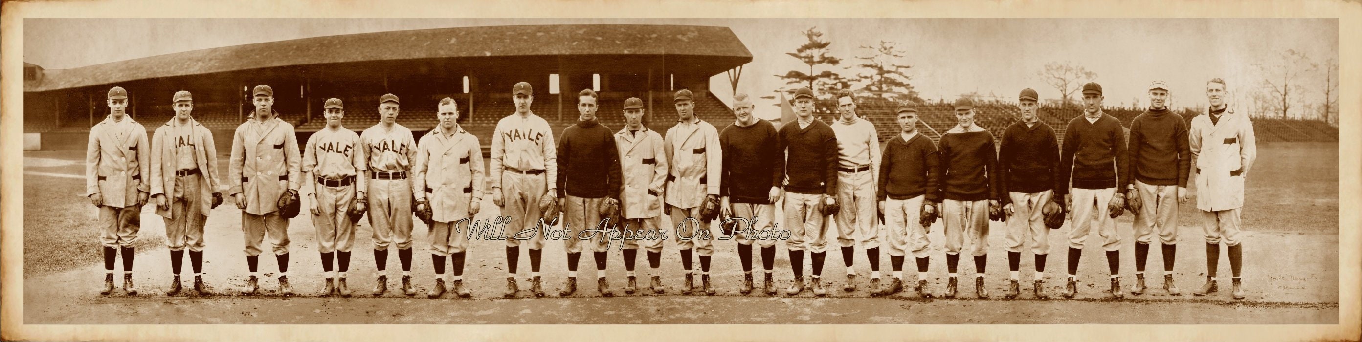 1910 Yale University Baseball Team Vintage Panoramic Etsy