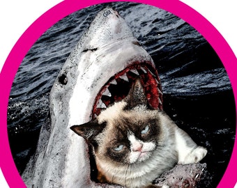 Grumpy Cat and Jaws mashup, T-shirt, spielberg, lucas, robert shaw, roy scheider, 1975, 70's, shark