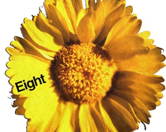 Daisy, t-shirt, flower, groovy, namaste, flower power, peace, love, yellow, beautiful, garden, grow