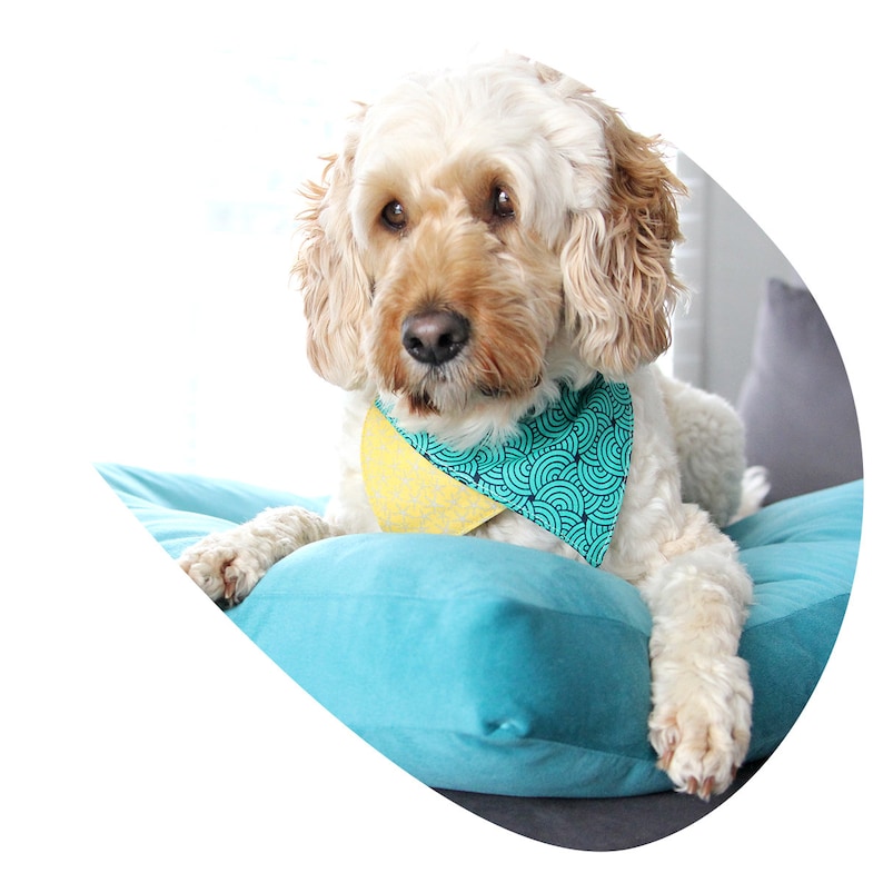 Reversible Slip On Bandana Dog Accessory Dog Bandana Waves /& Shores