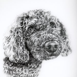 Personalised A5 Pet Sketch, Custom Animal Drawing, Bespoke Portrait, hand drawn pencil artwork, Dog Cat Lover Illustration, Memorial Artwork