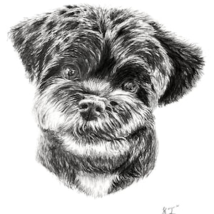 A3 pet portrait pencil drawing, detailed hand drawn dog portrait pet sketch