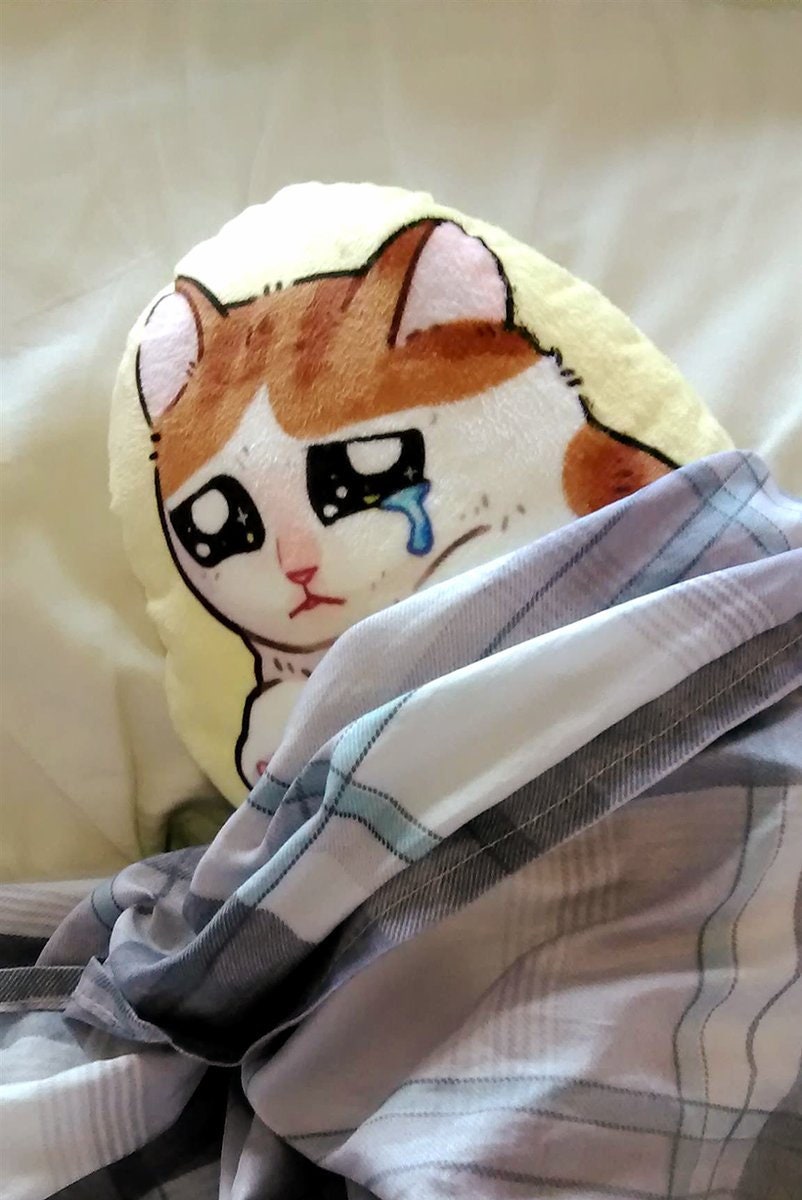 Sad Cat Plush Pillow Etsy Norway