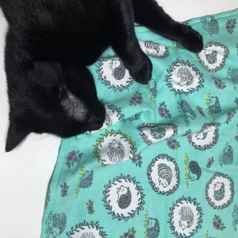 catnip blanket