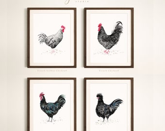 May include: Four printable art prints featuring black and white illustrations of French Golden Chickens. The chickens are depicted in various poses, with red combs and wattles. The prints are labeled with the names "French Golden Chicken 8", "French Chicken 6", "French Golden Chicken 5", and "French Chicken 7".