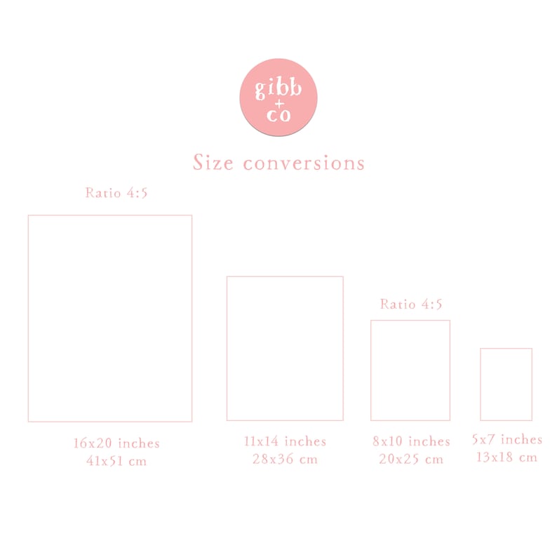 May include: A white background with a pink logo that says "gibb + co". The text "Size conversions" is below the logo. Four rectangles show size conversions in inches and centimeters: 16x20 inches (41x51 cm), 11x14 inches (28x36 cm), 8x10 inches (20x25 cm), and 5x7 inches (13x18 cm).