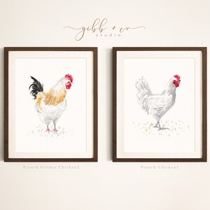 Chicken art, French, French hens, French Provincial, farmhouse, modern rustic, art print, watercolor art print, printed art, illustration image 8