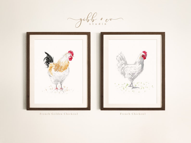 Chicken art, French, French hens, French Provincial, farmhouse, modern rustic, art print, watercolor art print, printed art, illustration image 8