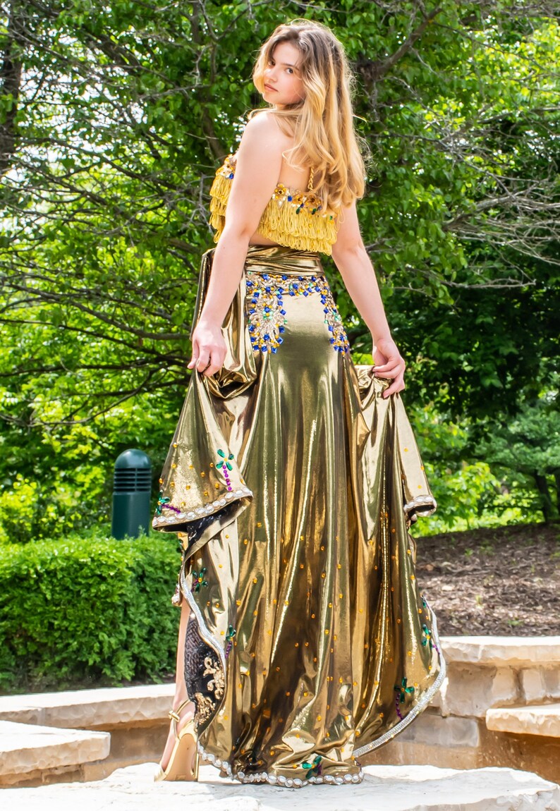 Gold Fringled Dress image 5