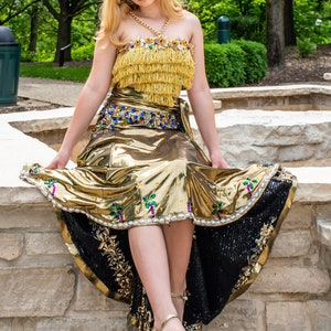 Gold Fringled Dress image 8