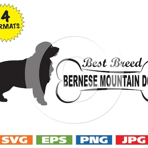 Berner Sennenhund "Best Breed" mit Knochen - Svg schneidedateien PLUS Eps/Vektor, Jpg, Png - 300dpi
