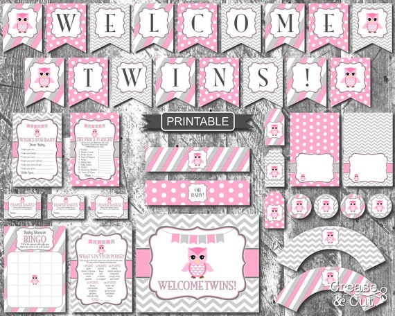 Pink Grey Owl Themed Twins Baby Shower Decorations And Games Etsy