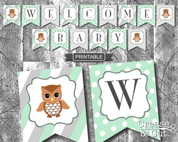 Diy Owl Baby Shower Decorations For Boy Or Girl Mint Grey Etsy