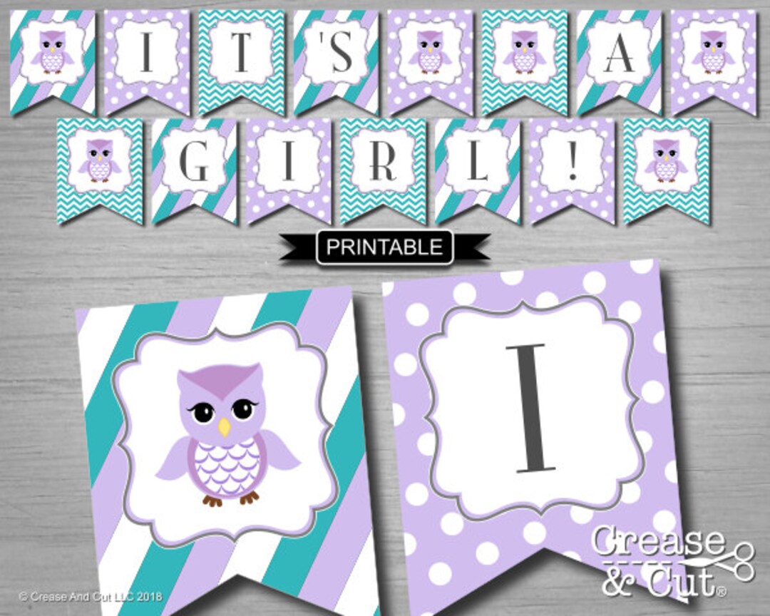 DIY Girl Owl Baby Shower Banner Printable PDF Instant Download in ...
