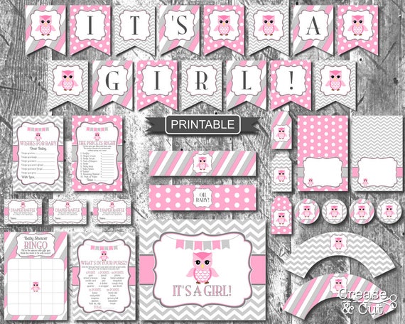 Pink Gray Owl Baby Shower For Girl Owl Themed Baby Sprinkle Etsy