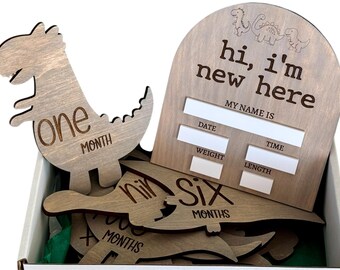 Engraved Baby Monthly Milestone Markers, First Year, Name & Stat Marker, Newborn Gift, Baby Shower, Baby Photo Op, Dino Themed
