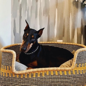 Modern Dog Basket Bed