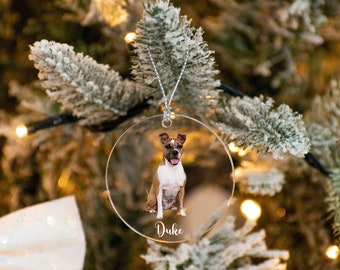 Pet Ornament with Picture, 3" Personalized Custom Dog Memorial Ornament, Pet Owner Gift, Dog Name Portrait Ornament