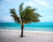 Palm tree picture stretched canvas wall art on Turks and Caicos. White sand beach seascape original photography, Tropical ocean framed print