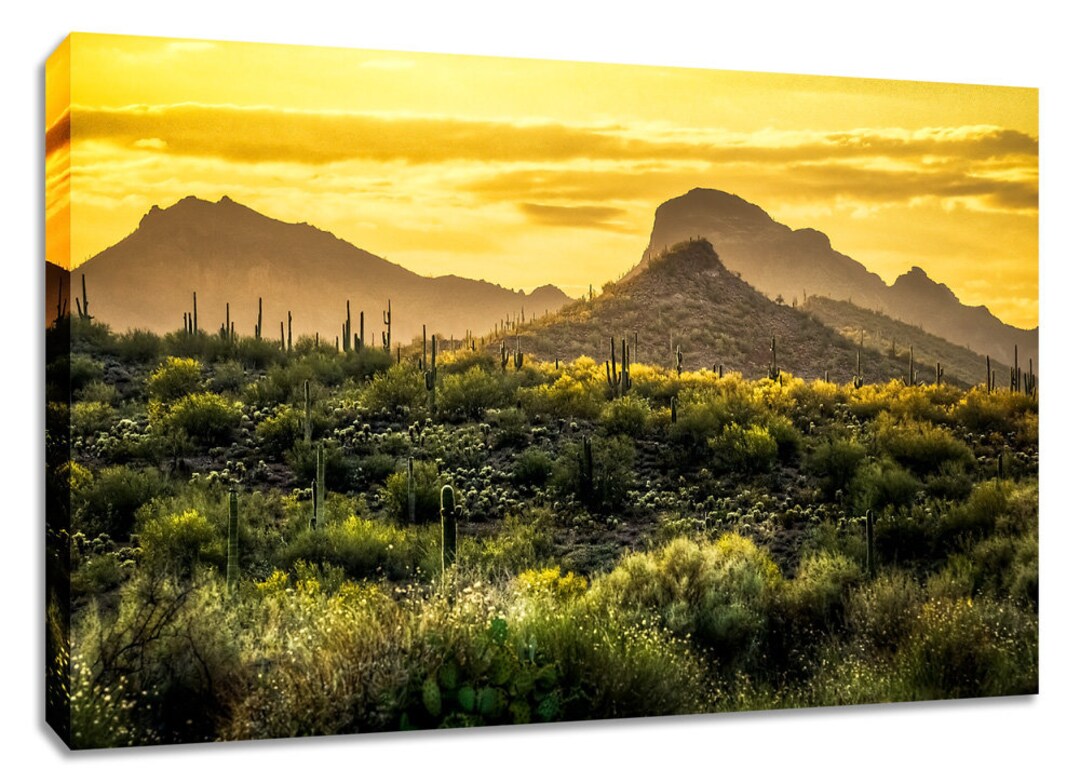 Arizona Landscape Art Wide. Nature Yellow Canvas Wall Decor. Etsy