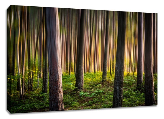 Michigan Forest Canvas Wall Art Woodland Picture Framed Room Decor Art For Living Room Tree Photography 4 Piece Print Brown And Green