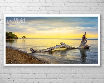 Art print, driftwood art, surreal wall art, framed ocean prints, yellow and blue, 20x36 16x28 10x18, 12x24 8x16 16x32, landscape photography