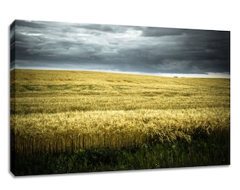 Wheat field canvas wall art. Saskatchewan prairie picture. Nature scenery dark sky. Landscape photography available in print, or on canvas.