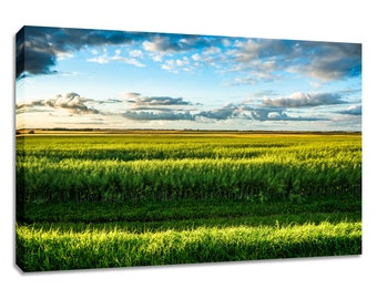 Prairie canvas wall art wide. Green pasture countryside vista. Landscape print Saskatchewan large. Choose print, matted or framed, or canvas