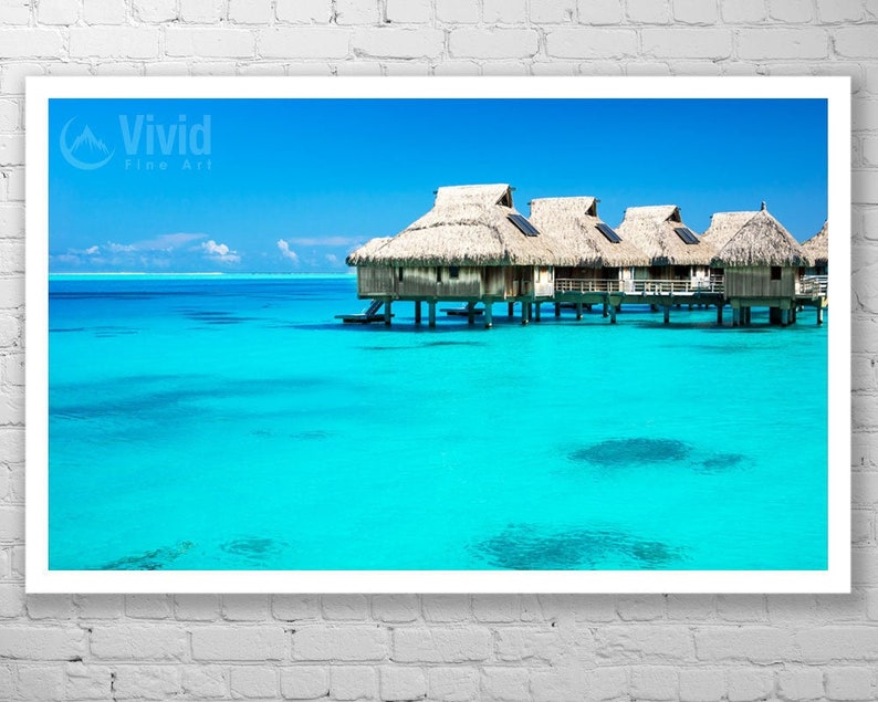 Empty Hammock Under Palm Tree On The Art Print Home Decor Wall Art Poster C
