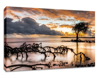 Mangrove photo sunset print. Photography wall art wide. Ocean picture scenery large. Choose print, matted or framed, or stretched canvas.