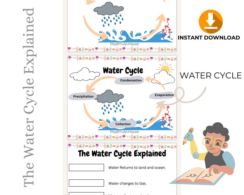 Water Cycle Diagram for Kids Definition and Steps Drawings in Order