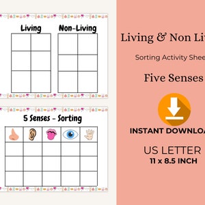 Five Senses Sorting |  Learning Senses Activities Sheet | Practice Page | Preschool | PreK | Kindergarten | First Grade