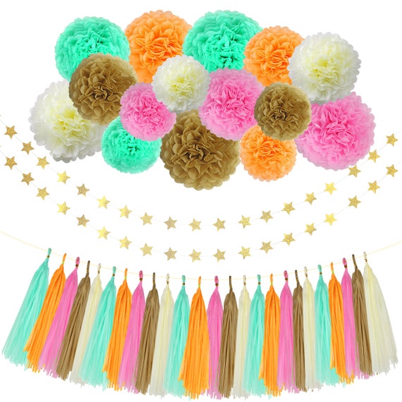 18 Piece Paper Pom Pom Decoration Kit \\ Tassel Banner \\ Bright Paper Flowers \\ Barbie Party Decorations Il_570xn