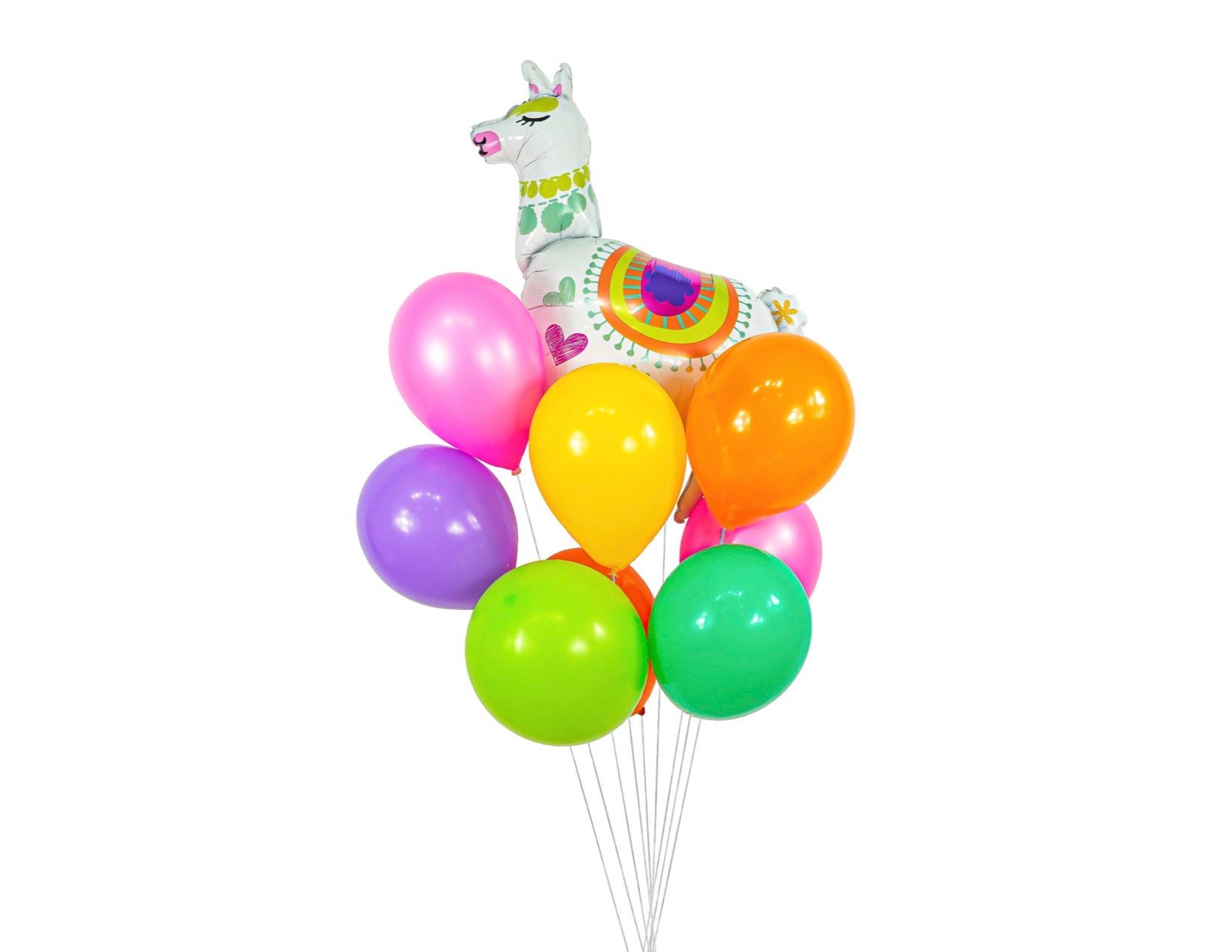 Llama and Cactus Fiesta // Fiesta in a Box // Fiesta Party Box Etsy