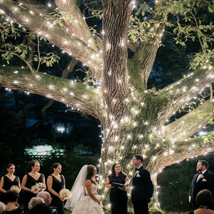May include: A wedding ceremony taking place under a large tree decorated with white string lights. The bride and groom are standing in front of the officiant, with guests seated in rows behind them.