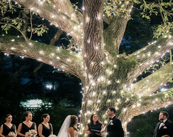 May include: A wedding ceremony taking place under a large tree decorated with white string lights. The bride and groom are standing in front of the officiant, with guests seated in rows behind them.