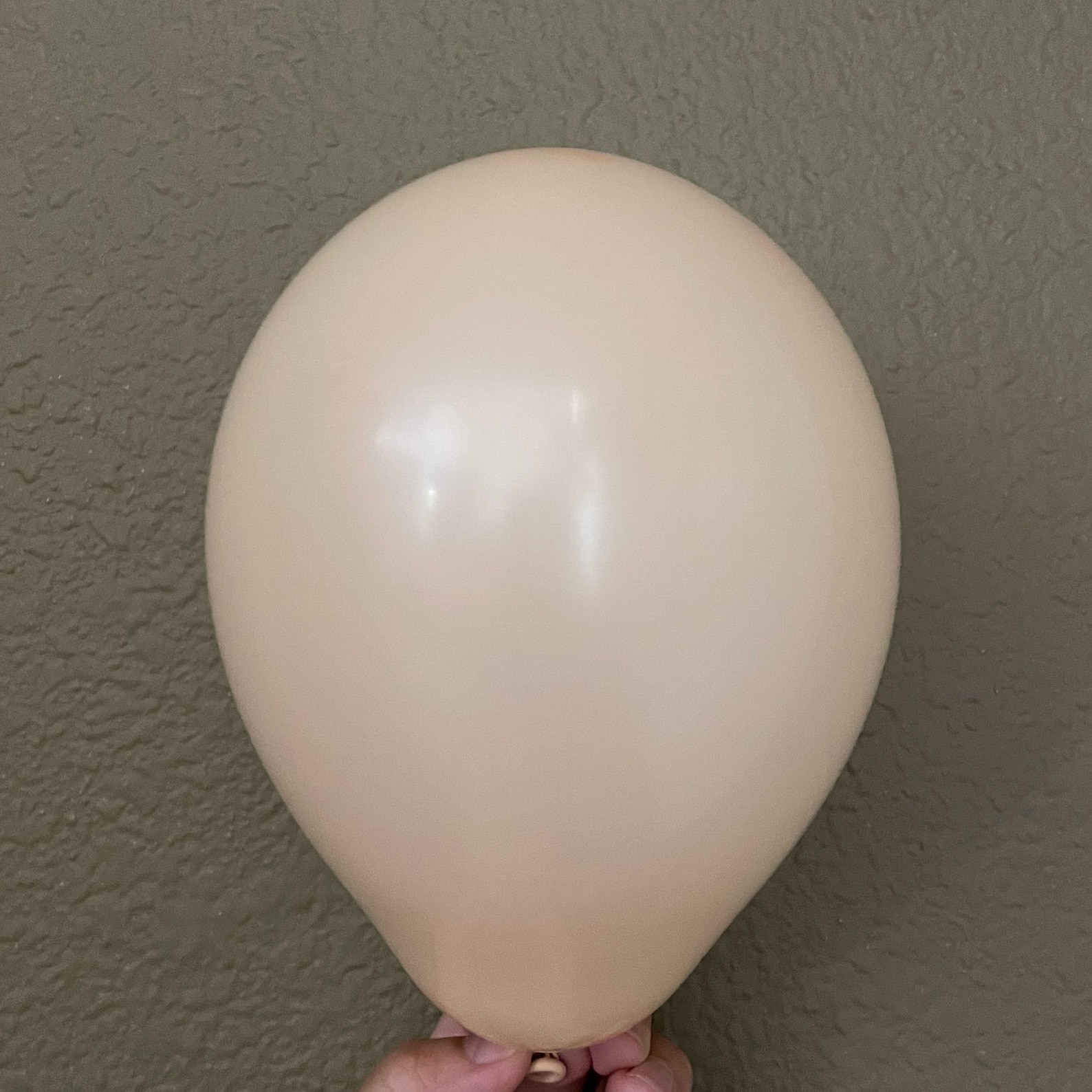 Blush 11 Zoll Latex 5 Zoll Ballon Qualatex Blush Braut Etsy