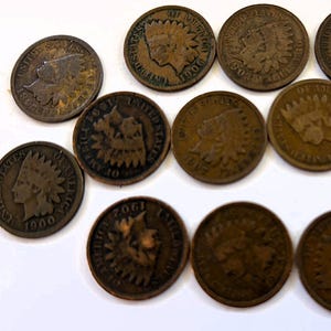 Indian Head Cent Penny Lot: 12 Circulated US Coins (1883-1907 Dates)