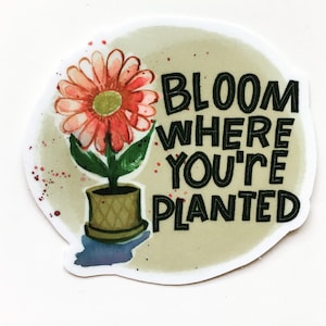 Puede incluir: Una pegatina con una ilustración de acuarela de una flor rosa en una maceta con el texto "Bloom Where You're Planted" en negro.
