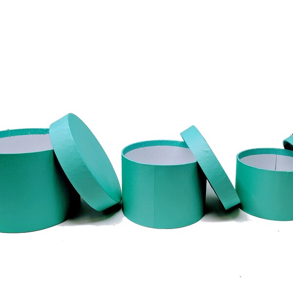 Robins Egg Blue Etsy