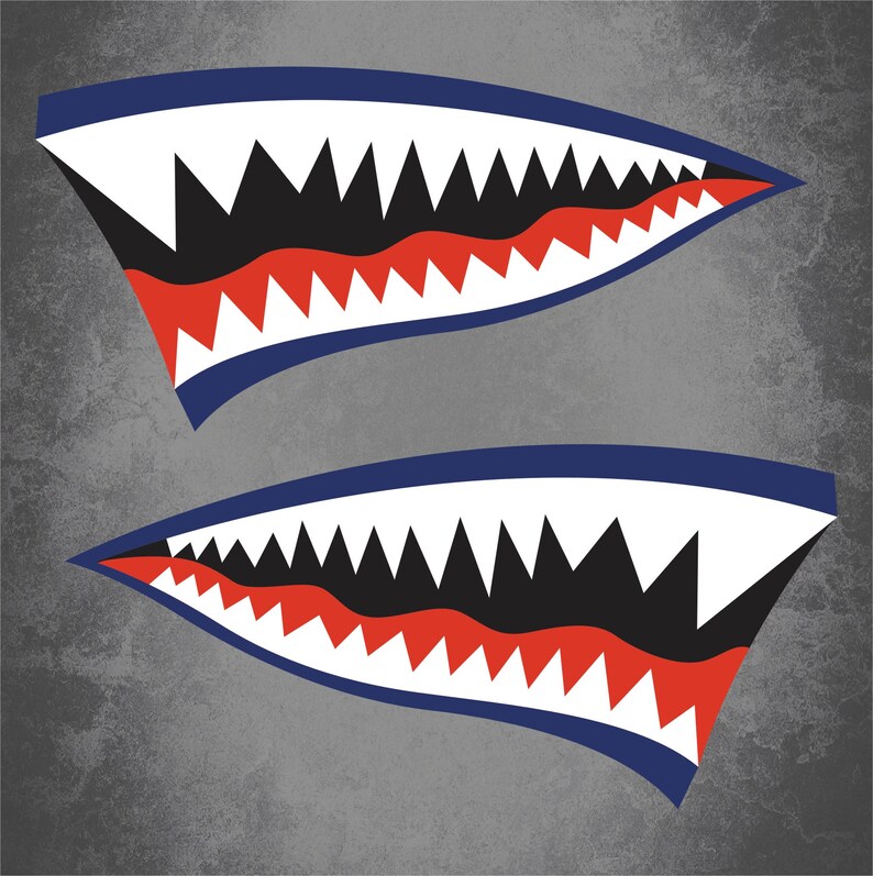 2 WWII Flying Tigers P40 Warhawk Nose Art Decals Stickers