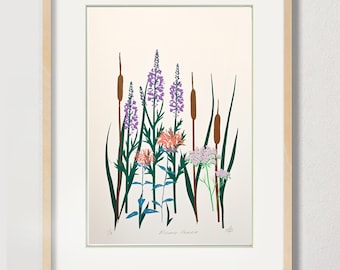 Wild Flowers-zeefdruk - 12 x 17" Limited Edition-serie - 'Midwest Prairie' v1