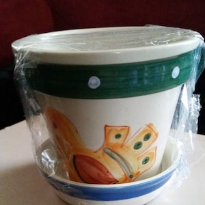 May include: A white ceramic planter with a green, white, and blue rim. The planter features a hand-painted design of a yellow bird with orange and green accents.