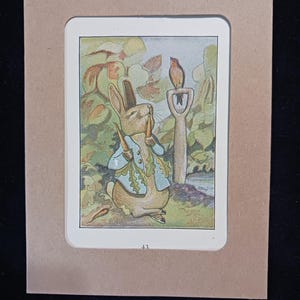 PETER RABBIT Original 1904 Henry Altemus Edition Beatrix Potter Art Print Lithograph Antique Vintage Natural mat with Text page