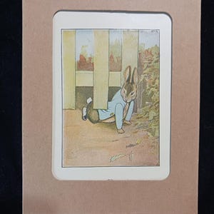 May include: A brown rabbit wearing a blue jacket is hiding behind a white picket fence. The rabbit is looking to the right of the image.