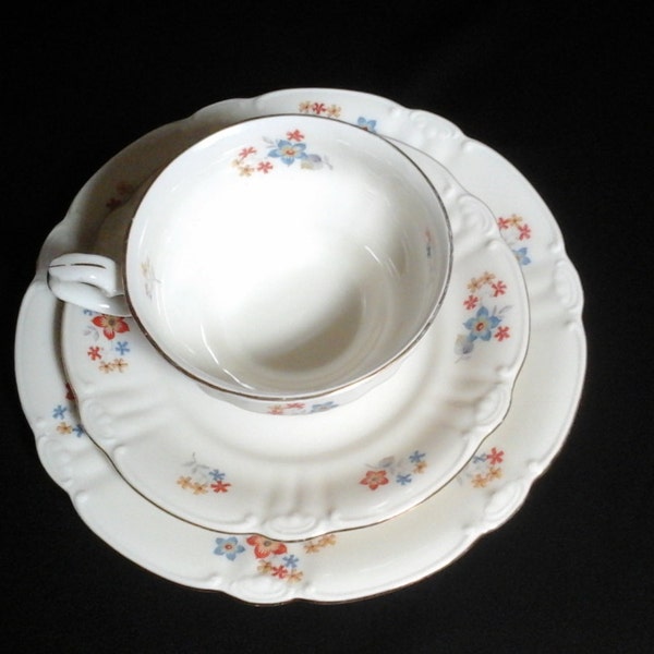 Lovely Seltmann Weiden Porcelain Teacup Trio, German Porcelain, early to mid-century porcelain