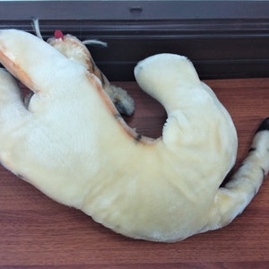 May include: A plush tiger toy with a cream colored body and black and orange stripes. The toy is lying on its back with its legs in the air.