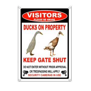 Indian runner ducks on property gate sign